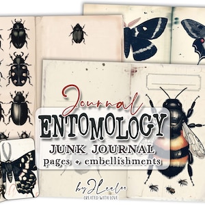 DZIENNIK ŚMIECI ENTOMOLOGICZNYCH scrapbooking do druku | Strony ogrodowe motyl owady | Stary okaz pamiętnika do tworzenia sztuki Użytek komercyjny | str. 848