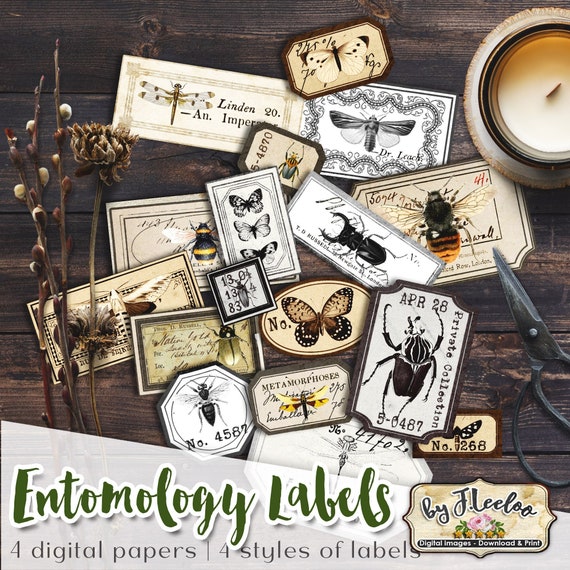 ENTOMOLOGY Labels Kit Printable Vintage Ephemera Butterfly Etsy Australia