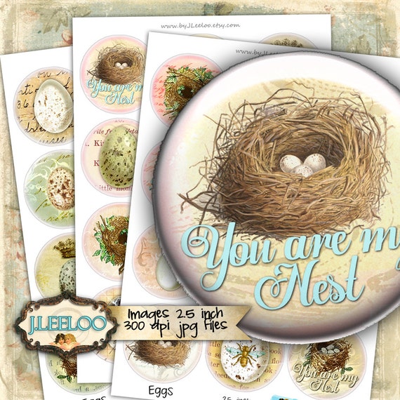 Digital collage EGGS 2.5 inch circle bird vintage royal bee nest for mirrors hang tags clipart magnet instant download printable tn471