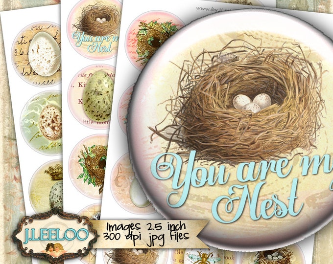 Digital collage EGGS 2.5 inch circle bird vintage royal bee nest for mirrors hang tags clipart magnet instant download printable tn471