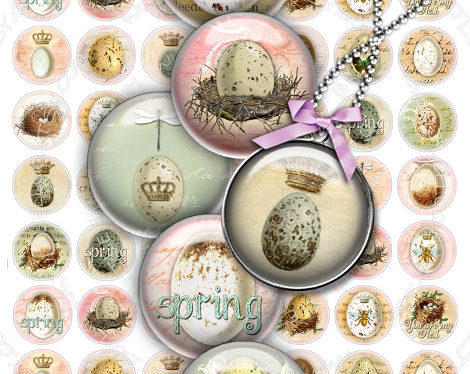 Digital collage EGGS 1 inch circle bird vintage royal bee nest for mirrors hang tags clipart magnet instant download printable tn392