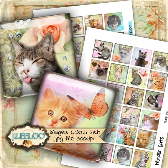 Digital collage sheet WONDER CAT'S 1.5x1.5 square puppie love kitten for pendant jewellery clipart magnet instant download print qu451