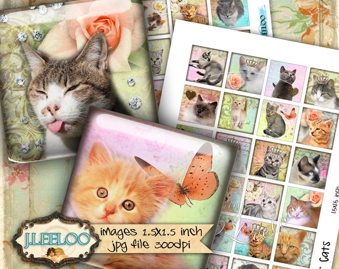Digital collage sheet WONDER CAT'S 1.5x1.5 square puppie love kitten for pendant jewellery clipart magnet instant download print qu451