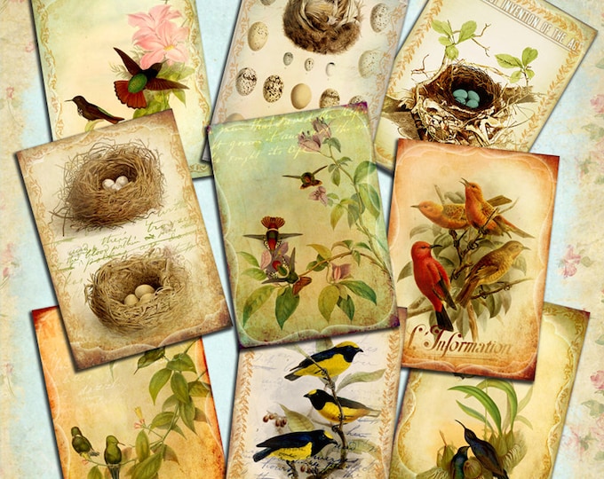 SPECIAL FLIGHTS shabby chic digital collage sheet printable scrapbooking birds nature nest eggs jewelry holder paper goods ac257