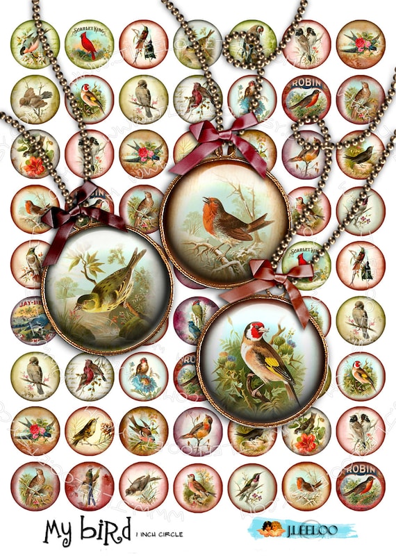 Digital printable sheet MY BIRD 1 inch circle old book images for hang tags scrapbook pendant magnet labels instant download tn285