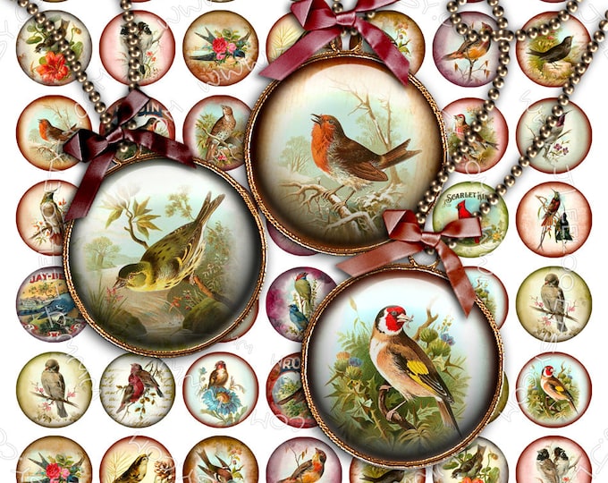 Digital printable sheet MY BIRD 1 inch circle old book images for hang tags scrapbook pendant magnet labels instant download tn285