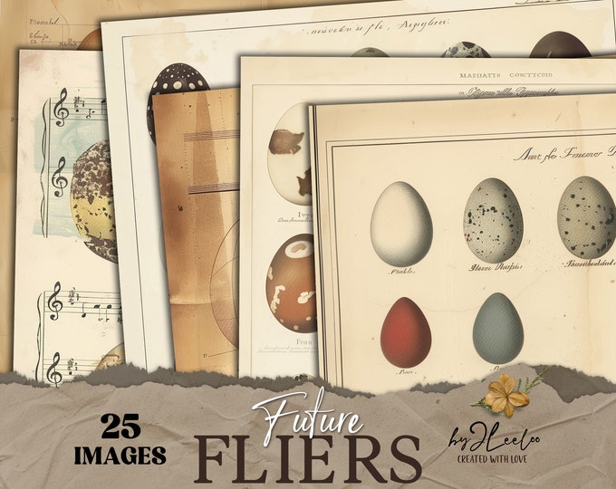 FUTURE FLIERS vintage pages collage | Old Ornithology,naturalistic charts junk journal Eggs digital texture background Mixed media | pp817