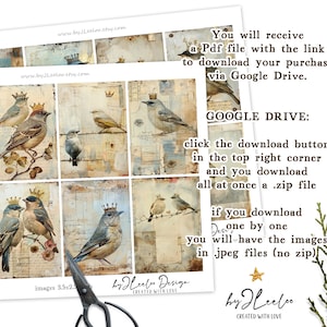 CROWNED BIRDS junk journal printable half pages tag Mixed Media supplies Birds hand-drawn vintage card making collage art diary pp747 image 8