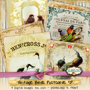 VÖGEL POSTKARTEN 7 x 5 zoll große digitale Pfau Papiere Scrapbook Papiere zum sofortigen Download pp339