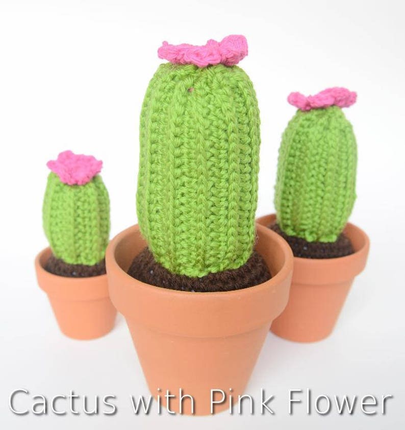 Crochet Cactus Cactus In A Pot Handmade Cacti Home Decor Etsy