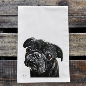 May include: A black pug dog with a white background. The dog is looking at the camera with its head tilted to the side. The dog's eyes are brown and its nose is black. The dog's fur is short and smooth.