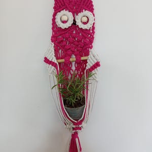 May include: A handmade macrame owl-shaped plant hanger in shades of fuchsia and white. The owl features large white eyes with wooden beads, a wooden dowel, and a tassel. A small potted plant is nestled in the owl's belly, adding a touch of greenery.