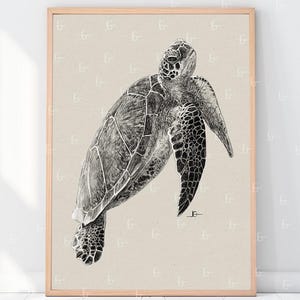 May include: A framed black and white illustration of a sea turtle. The artwork features detailed shading and textures, showcasing the turtle's shell, flippers, and head. The artwork is set against a neutral background, and framed in a light wood.