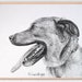 see more listings in the CUSTOM Pet Portraits section