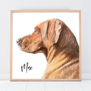 Custom Pet Portrait Drawing from photo Pet Memorial Gift Portrait from photo Mothers Day Gift image 1