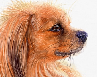 Aangepaste huisdier portret schilderij van foto, aquarel hond schilderij | Aangepaste hondenportret | Aangepaste kattenportret, KolonjArt