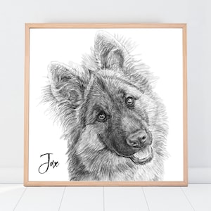 Custom Dog Drawing, Custom Cat Drawing, Custom Pencil Drawing, Custom Pet Drawing, Dog Drawing Custom, Drawing From Photo, Pet sympathy gift image 1