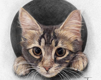 Cat portrait custom from your photo, Custom Pet Portrait, Custom cat portrait, Gifts for mom, Digital pet portrait, Dog Portrait Custom,