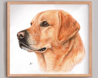 Pet Portrait from Photo – Custom Dog or Cat Drawing – Personalized Animal Art