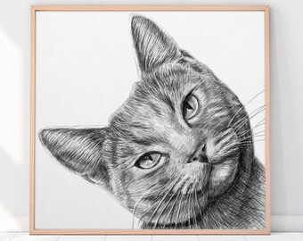 Custom Cat Portrait Drawing from photo, Pet Memorial Gift, Gift for her, Custom dog portrait, Custom pet portrait, KolonjaArt