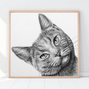 Custom Cat Portrait Drawing from photo, Pet Memorial Gift, Gift for her, Custom dog portrait, Custom pet portrait, KolonjaArt