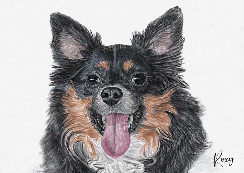 Custom Pet Portrait Drawing from photo Pet Memorial Gift Portrait from photo Mothers Day Gift Paper Print