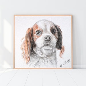 Custom Pet Portrait Drawing from photo Pet Memorial Gift Portrait from photo Mothers Day Gift image 5