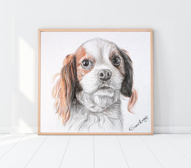 Custom Pet Portrait Drawing from photo Pet Memorial Gift Portrait from photo Mothers Day Gift image 5