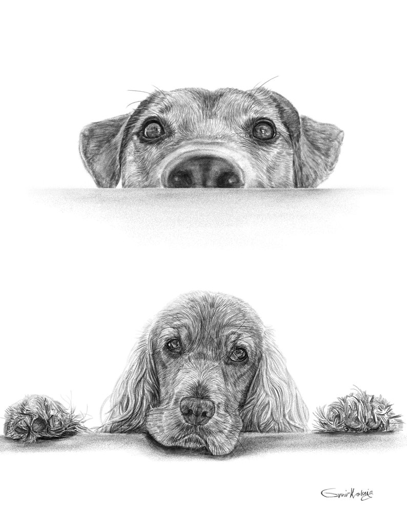 Custom Dog Portrait Digital Download Art Custom Pet Portrait Drawing From Photo Gifts for mom image 3
