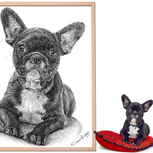 Custom Dog Drawing, Custom Cat Drawing, Custom Pencil Drawing, Custom Pet Drawing, Dog Drawing Custom, Drawing From Photo, Pet sympathy gift image 6