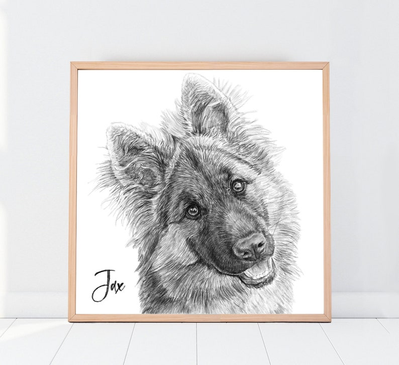 Custom Dog Drawing, Custom Cat Drawing, Custom Pencil Drawing, Custom Pet Drawing, Dog Drawing Custom, Drawing From Photo, Pet sympathy gift image 1