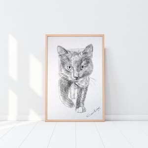 Custom Dog Drawing, Custom Cat Drawing, Custom Pencil Drawing, Custom Pet Drawing, Dog Drawing Custom, Drawing From Photo, Pet sympathy gift image 9