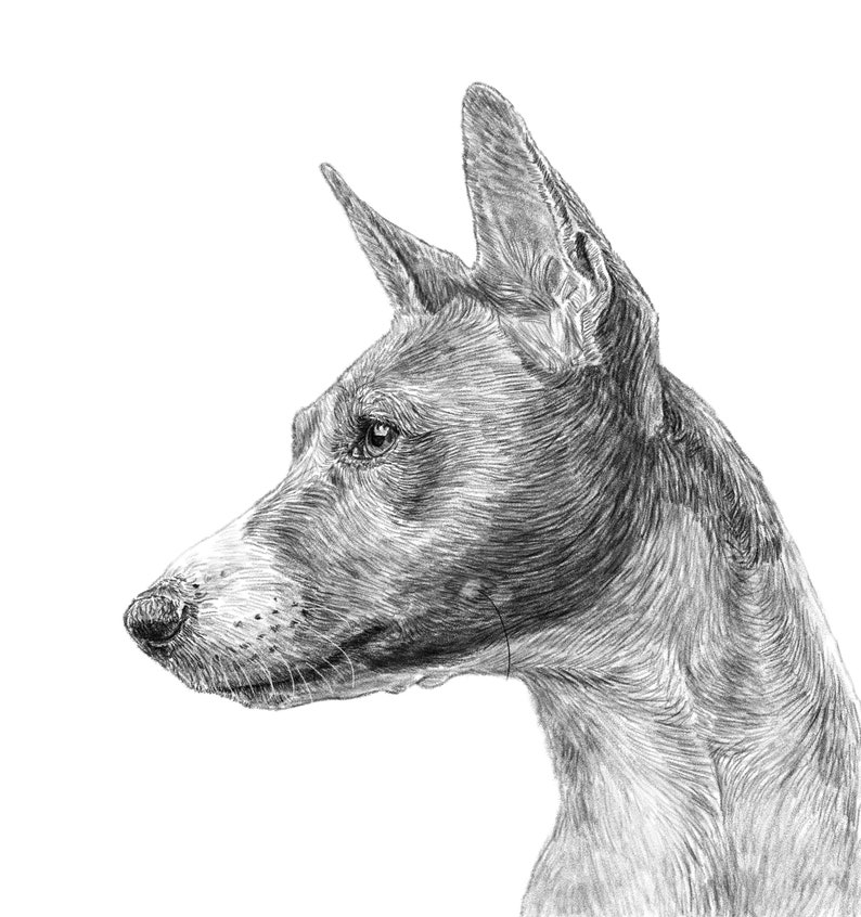 Custom Dog Portrait Digital Download Art Custom Pet Portrait Drawing From Photo Gifts for mom image 5