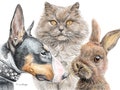 Custom Cat Drawing, Pet Memorial Gift, Custom Dog Drawing, Digital pet portrait, Gifts for mom, Dog memorial, Cat portrait custom product logo