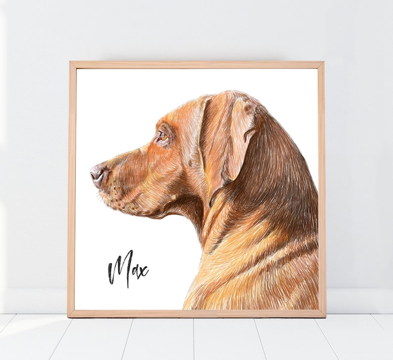 Custom Pet Portrait Drawing from photo Pet Memorial Gift Portrait from photo Mothers Day Gift image 1