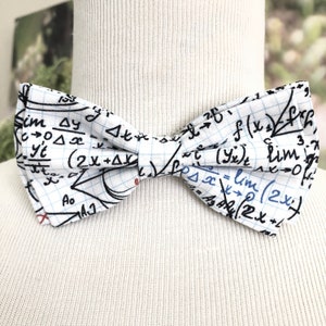 May include: A white bow tie with a grid pattern and mathematical equations in black and blue ink. The equations include symbols like delta, integral, and limit. The bow tie is displayed on a white mannequin.