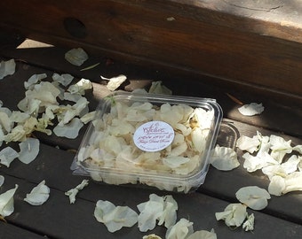 Dried cream Bougainvillea flower petals, Wedding Confetti, gorgeous featherweight dried scarlet petals.