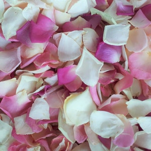 5 Cups Freeze-Dried Rose Petals.  Colors: Pink and Ivory. Natural rose petals. Wedding decor petal aisle.