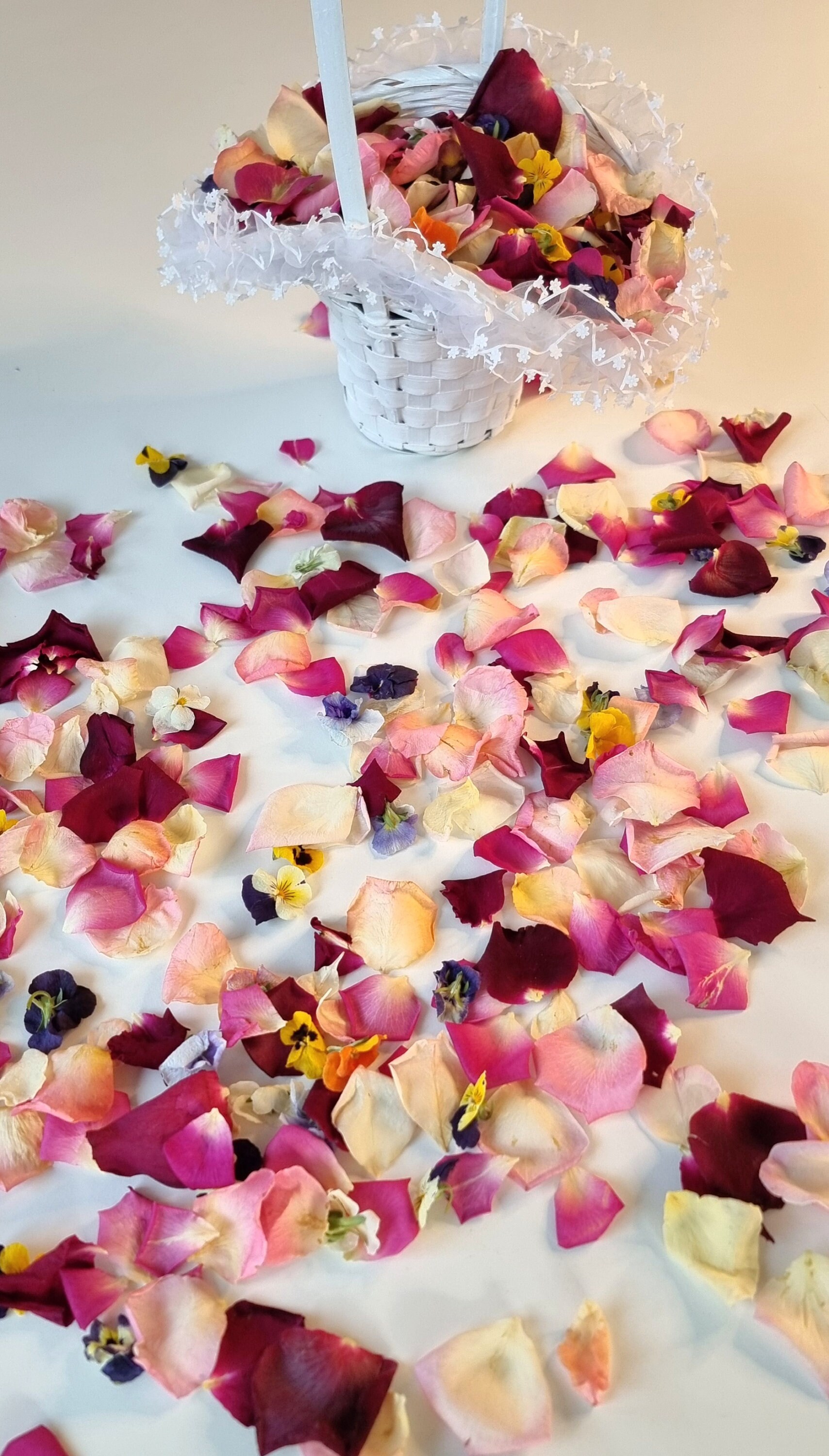 Freezedried Rose Petals and Pansies. 5 Cups of Tossing Petals Etsy