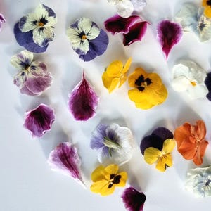 SALE!! 20 Freeze-Dried Edible Flowers - viola. High Quality. Lovely Pansies For drink Toppers, Cake Decorations.