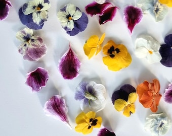 20 Freeze-Dried Edible Flowers - viola. High Quality. Lovely Pansies For drink Toppers, Cake Decorations.