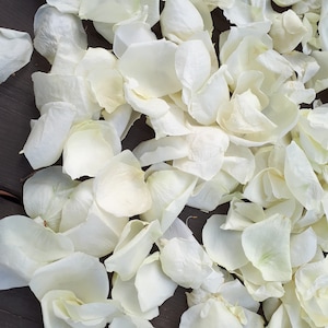 May include: A collection of white rose petals scattered on a dark wooden surface. The petals vary in size and shape, with a soft, delicate texture. The image captures the natural beauty and subtle variations of the petals.