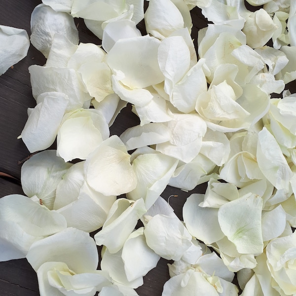 Freeze-Dried Fragrant Petals. Ivory color. 5 cups. Lovely for wedding decoration.