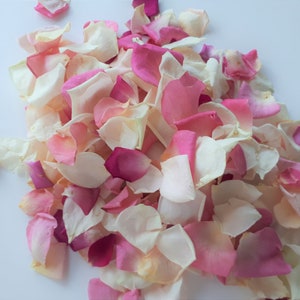 5 Cups Freeze-Dried Rose Petals. Colors: Pink and Ivory. Natural rose petals. Wedding decor petal aisle. image 2