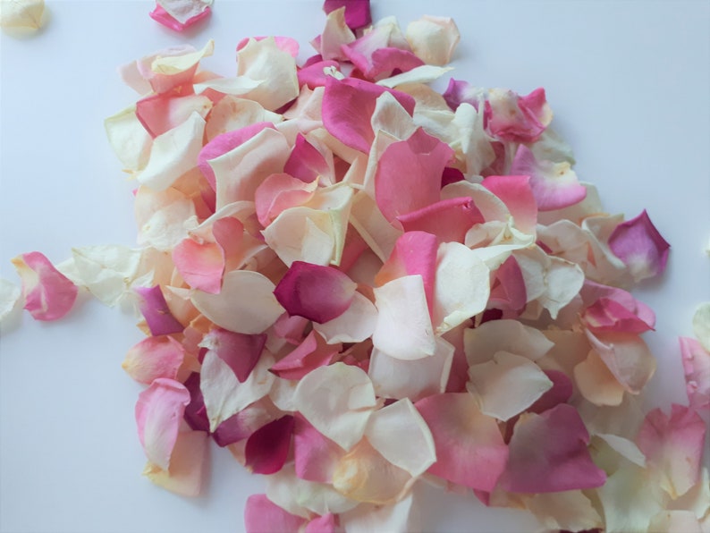 5 Cups Freeze-Dried Rose Petals. Colors: Pink and Ivory. Natural rose petals. Wedding decor petal aisle. image 2