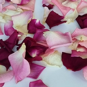 Wedding decor petal aisle. 5 cups. Freeze Dried Rose Petals. Colors: Fuchsia, Mix of Pink, Dark Red and Ivory. 100% Natural rose petals.