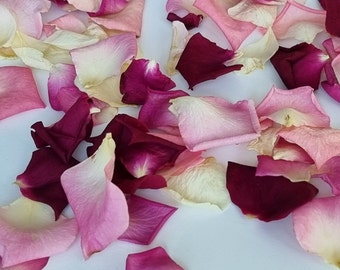10 cups = 2 liters Freeze-Dried Rose Petals: Fuchsia, Pink, Red, Ivory Wedding Decor. No extra fees for U.S. customers!