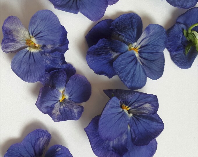 This item is unavailable Etsy