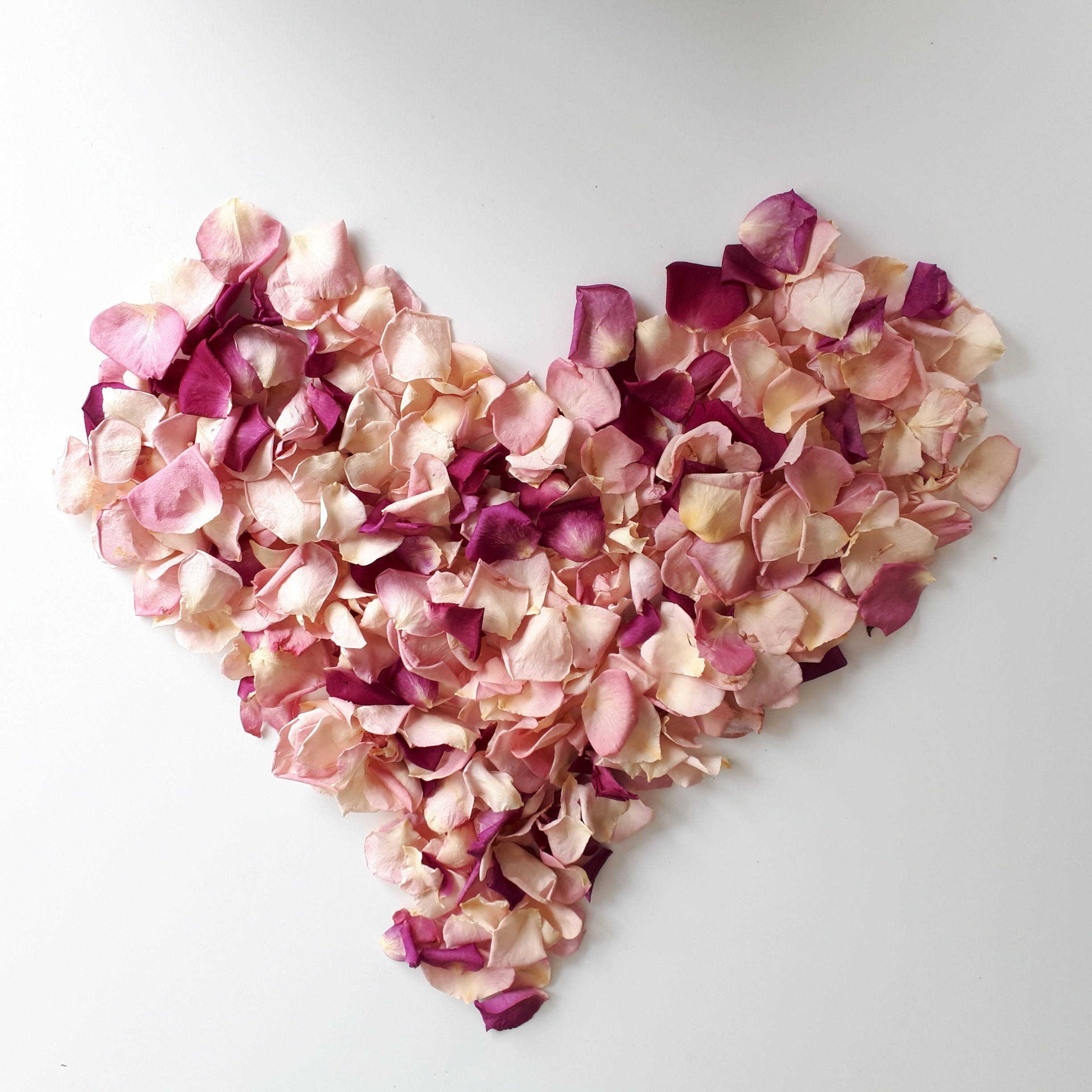 Freeze Dried Rose Petals. mixed pink petals. 5 cups 1 liter Etsy