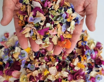 Natural Rose Petal Biodegradable Wedding Confetti. Dried Rose Petals and Dried Pansies. 100% Natural Slowfall Rainbow Mix. 5 cups = 1 liter.